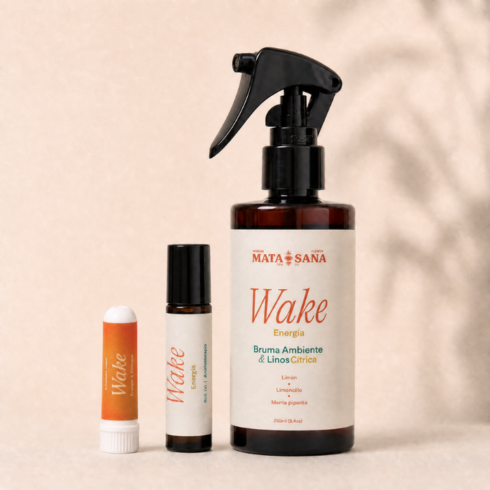 Kit Wake